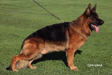 Photo0