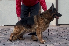 Photo0