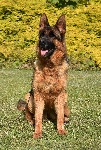 Photo1