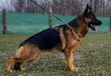 Photo0