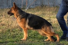 Photo1
