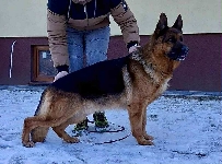 Photo1